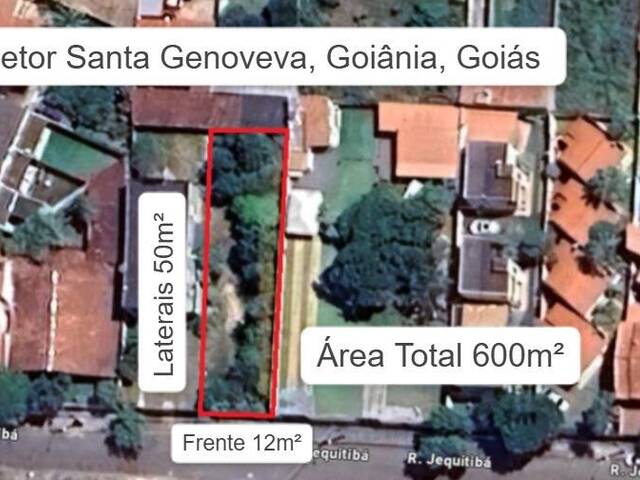 #290 - Área para Venda em Goiânia - GO - 1