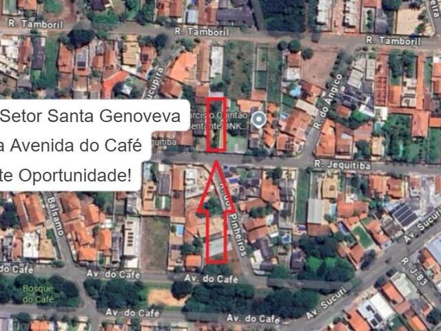 #290 - Área para Venda em Goiânia - GO - 3