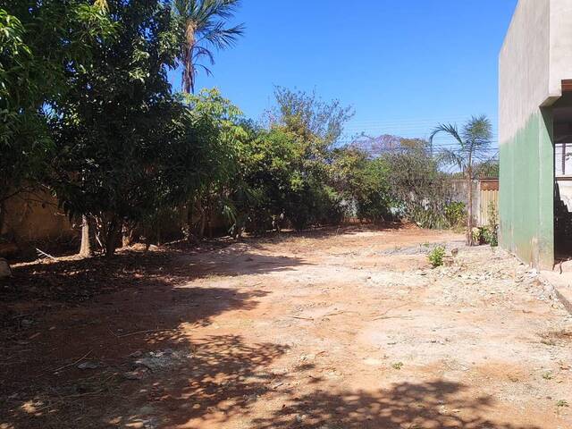 #290 - Área para Venda em Goiânia - GO - 1
